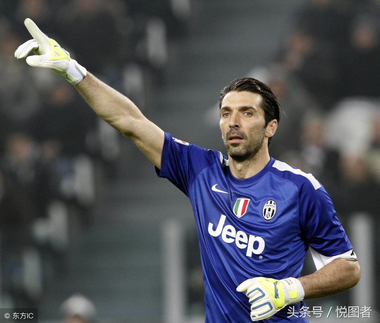 有诸多相似 有诸多相似